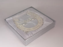 Load image into Gallery viewer, Wedding Day Horseshoe
